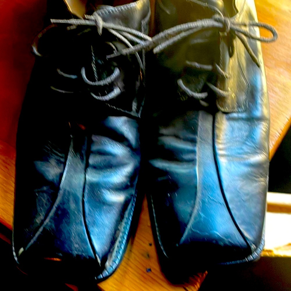Zenoara mens shoe